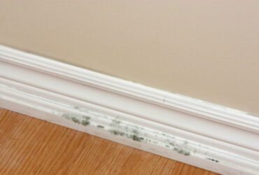 Seleccionar-The-Hidden-Health-Hazards-in-Your-Attic-or-Basement